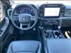 2024 Ford F-150 ROUSH XLT