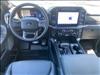2024 Ford F-150 ROUSH XLT