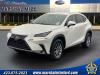 2021 Lexus NX 300