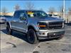 2024 Ford F-150 ROUSH XLT