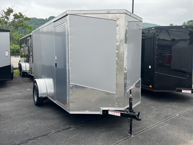 2025 Seed Cargo        6X12SA 