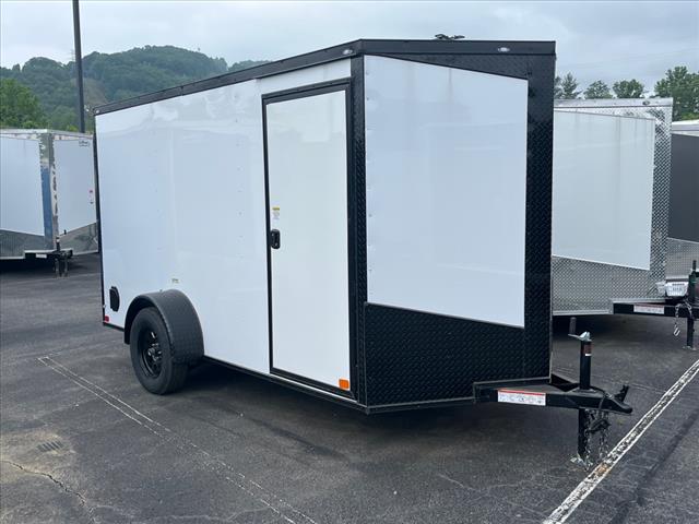 2025 Seed Cargo        6X12 BO 