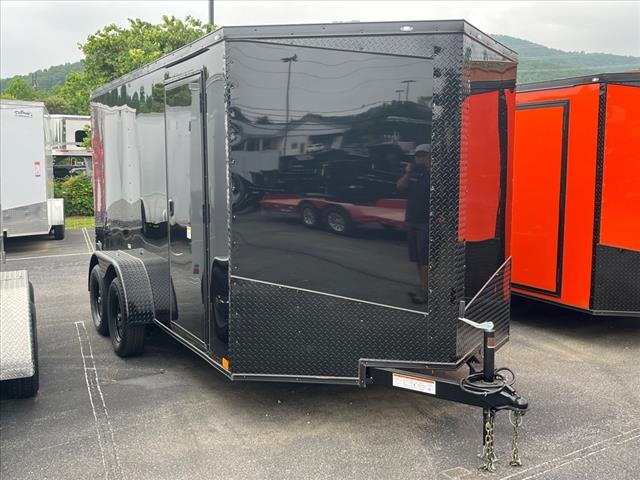 2025 Seed Cargo        7X14TA2 BO 