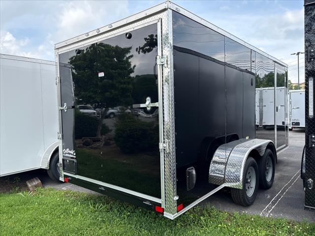 2025 Seed Cargo        7X16TA2 