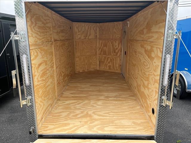 2025 Seed Cargo        6X12SA 