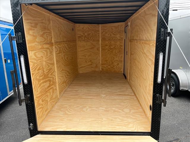 2025 Seed Cargo        6X12 BO 