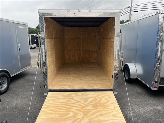 2025 Seed Cargo        6X12SA 
