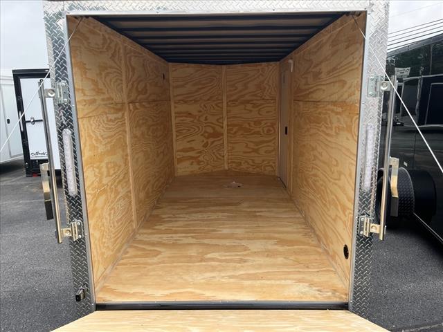 2025 Seed Cargo        6X12SA 