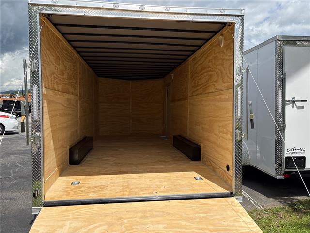 2025 Seed Cargo        8.5X20TA2* 