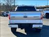 2013 Ford F-150 Platinum