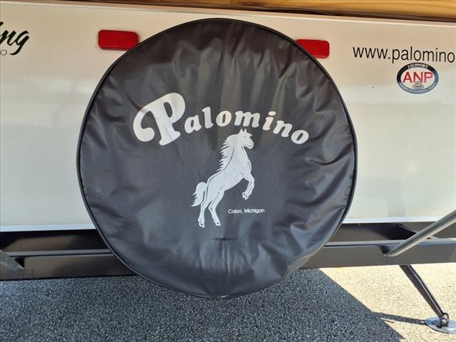 2009 International Palomino Yearling