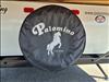 2009 International Palomino Yearling
