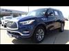 2021 INFINITI QX80 Luxe