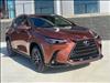 2025 Lexus NX 250