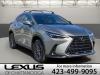 2025 Lexus NX 250