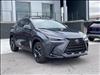 2025 Lexus NX 450h+