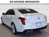 2022 Cadillac CT4 Premium Luxury