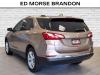2019 Chevrolet Equinox Premier - thumbnail 3