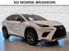 2019 Lexus NX 300 300 F Sport - thumbnail 6