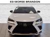 2019 Lexus NX 300 300 F Sport - thumbnail 7