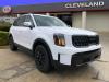 2025 Kia Telluride EX X-Pro