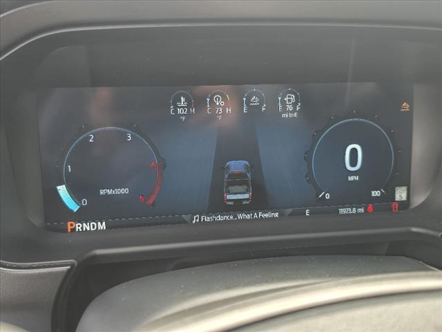 2024 Ford F-450 Super Duty Platinum