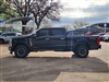 2024 Ford F-250 Super Duty Platinum