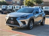 2019 Lexus NX 300 F SPORT