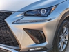 2019 Lexus NX 300 F SPORT