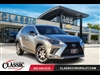 2019 Lexus NX 300 F SPORT