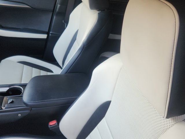 2019 Lexus NX 300 F SPORT