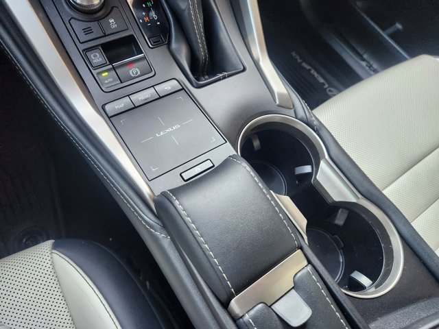 2019 Lexus NX 300 F SPORT