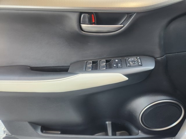 2019 Lexus NX 300 F SPORT