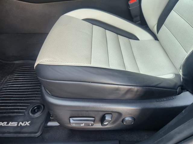 2019 Lexus NX 300 F SPORT