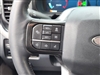 2024 Ford F-250 Super Duty Platinum