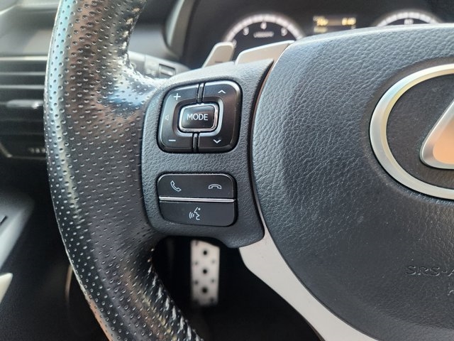 2019 Lexus NX 300 F SPORT