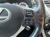 2019 Lexus NX 300 F SPORT