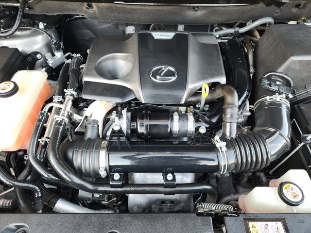 2019 Lexus NX 300 F SPORT