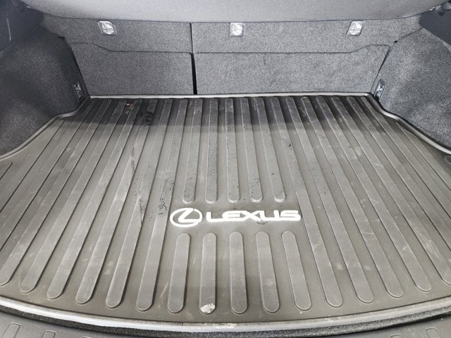 2025 Lexus UX 300h Premium