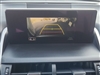 2019 Lexus NX 300 F SPORT