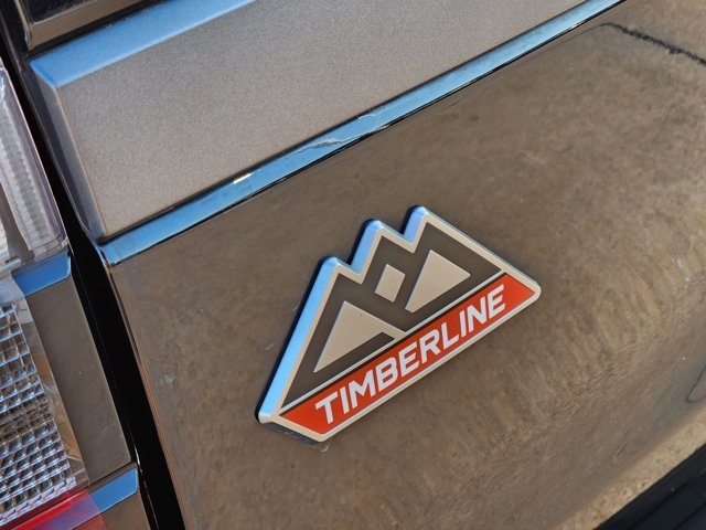 2023 Ford Expedition Timberline
