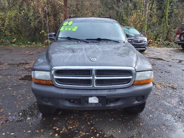 2004 Dodge Dakota Base - Photo 2