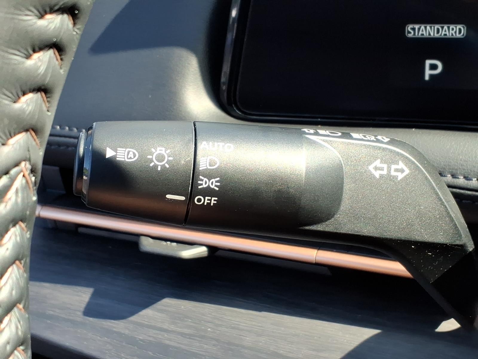 NissanAriya13