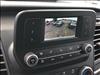 2023 Ford Transit 250