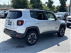 2017 Jeep Renegade Trailhawk