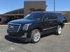 2019 Cadillac Escalade