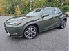 2021 Lexus UX 250h