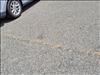 2014 Ford Taurus SE