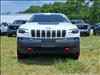2019 Jeep Cherokee Trailhawk - thumbnail 2