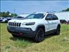 2019 Jeep Cherokee Trailhawk - thumbnail 3